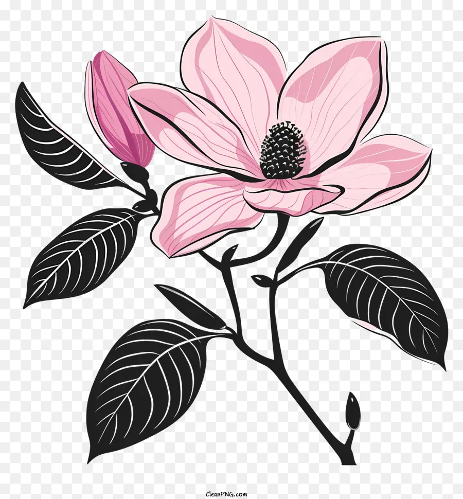 Blume silhouette - Pink Magnolia Blume mit glänzenden Blättern