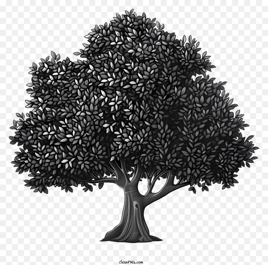 Baum silhouette - Ausgewachsener Baum auf schwarzem Hintergrund