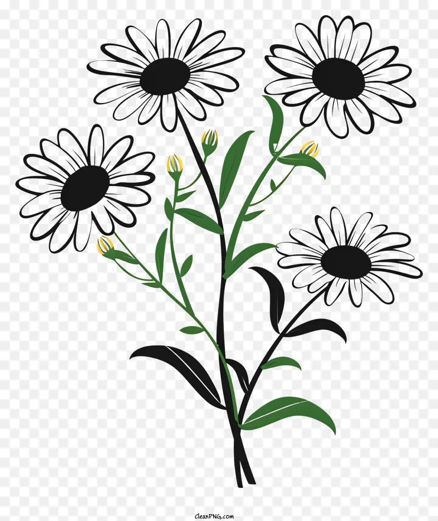 fiore silhouette - Immagine in bianco e nero della pianta con fiori