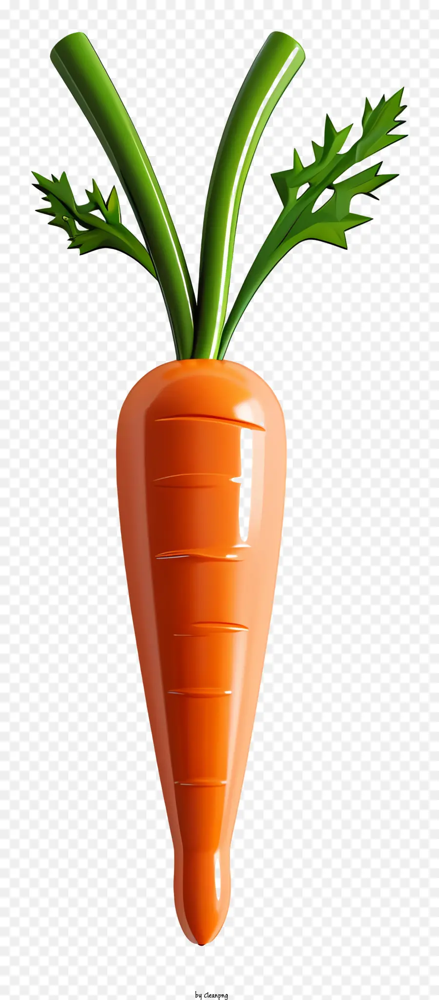 Foglie verdi vegetali di carota sfondo nero - Tagliare la carota con foglie verdi sopra