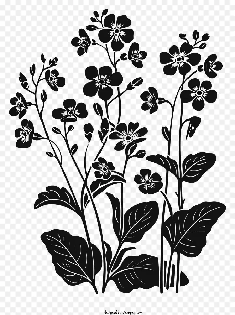 Blume silhouette - Monochromes Bild von blühenden Blumen auf dem Feld