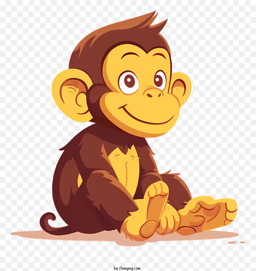 scimmia - Monkey felice e carina nel pannolino a terra
