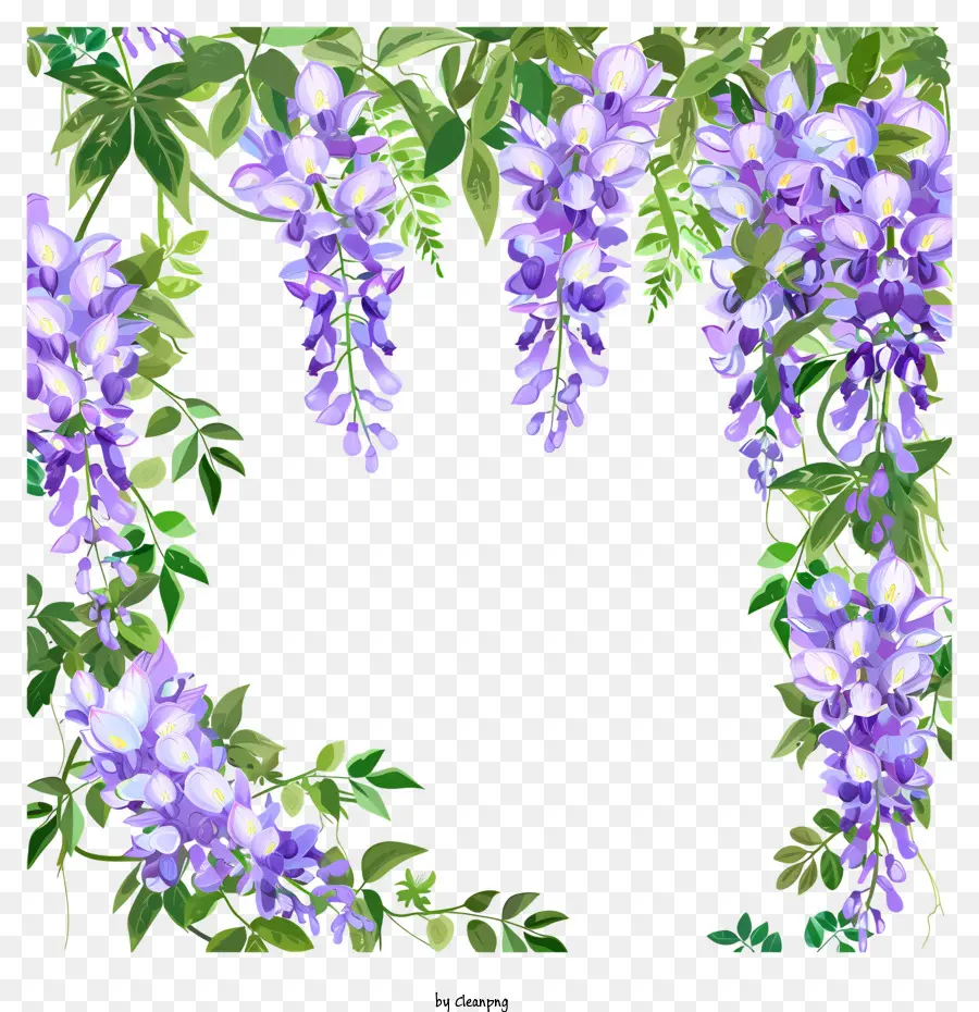 wisteria border wisteria purple drawing frame