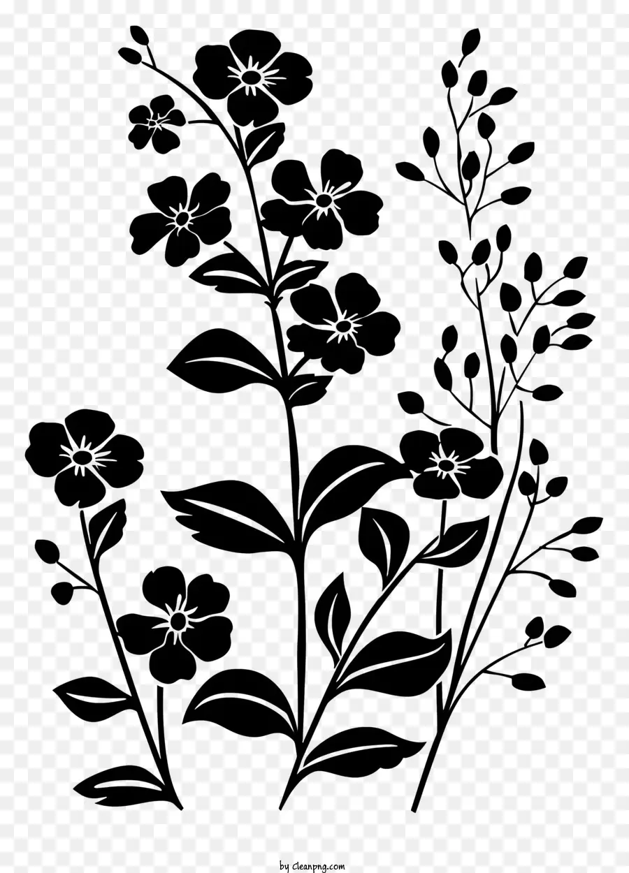Blume silhouette - Schwarzer Hintergrund mit weißem kreisförmigen Blumenmuster