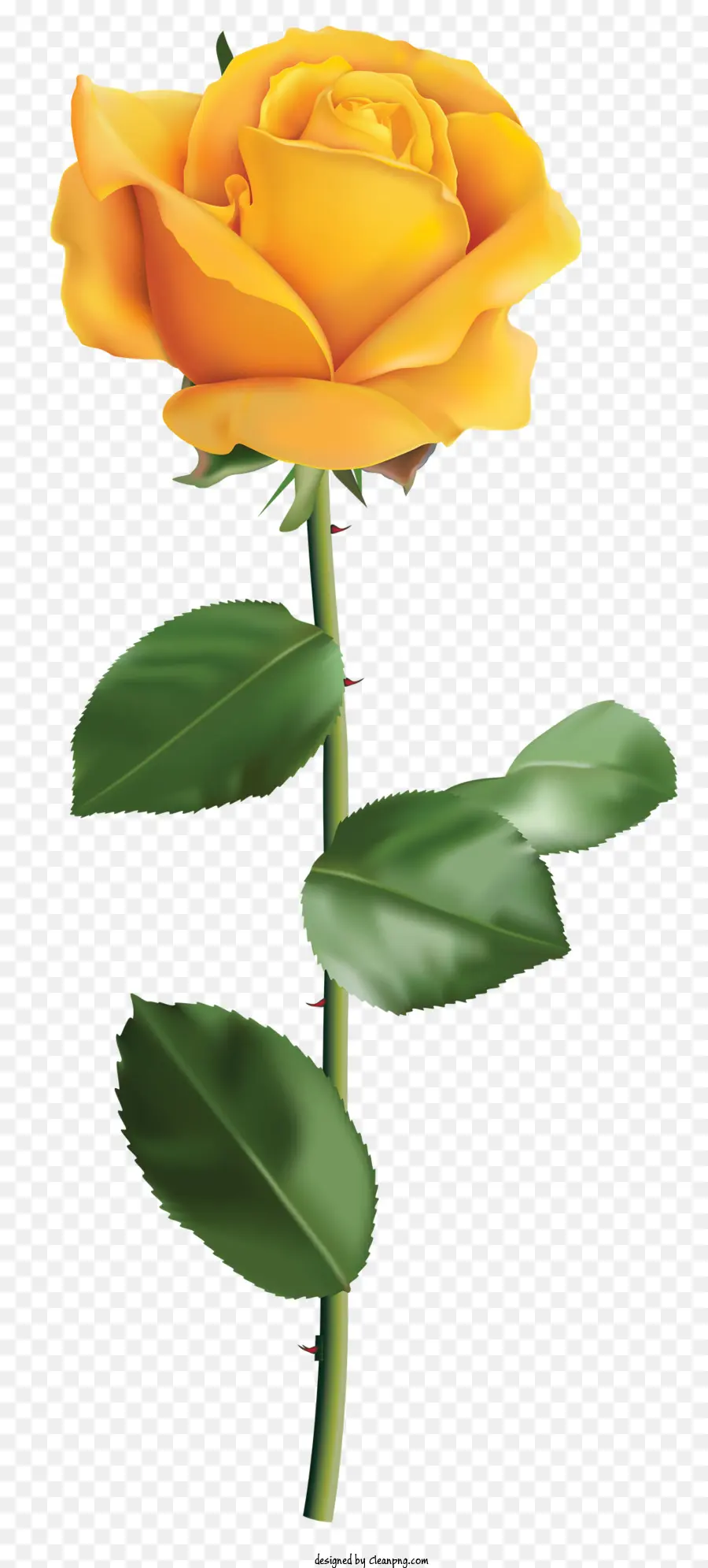 gelbe rose - Lebendige, realistische Single gelbe Rose in Blüte