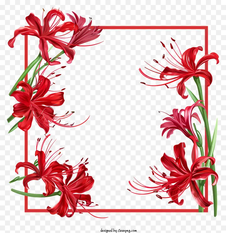 Blumenkranz - Rot und rosa Blumenkranz auf Schwarz