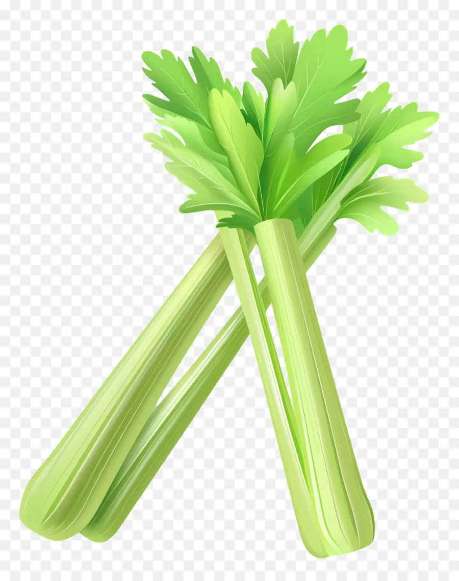 cần tây celery thân cây tươi - Thân cần tây tươi với lá xanh rực rỡ