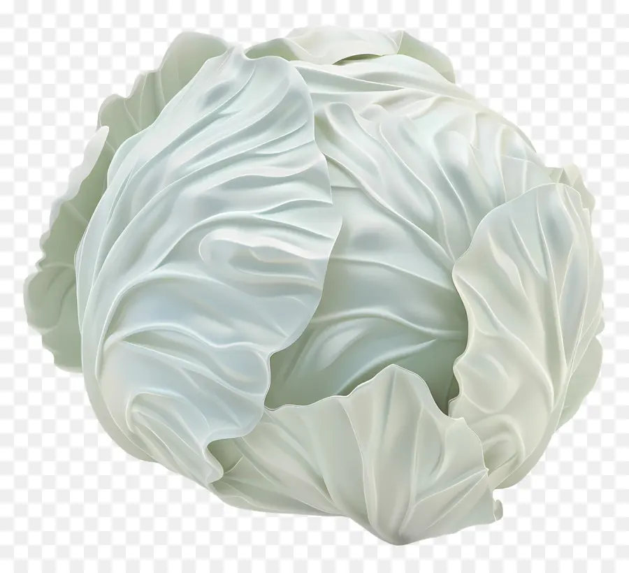 Kohlkohl weiß Kohl große Kohlblatt Gemüse - Schwarz -Weiß -Bild von weißem Kohl