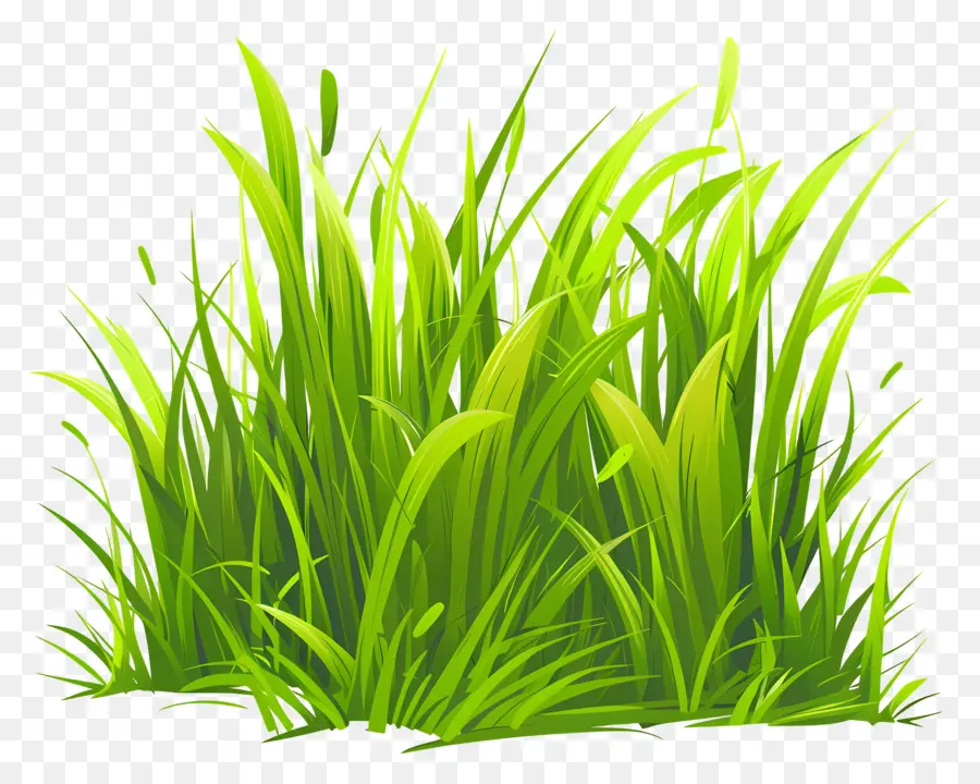 grasgrünes Gras hohe Gras weht gras dicke Blätter - Hohes grünes Gras schwankt im Wind