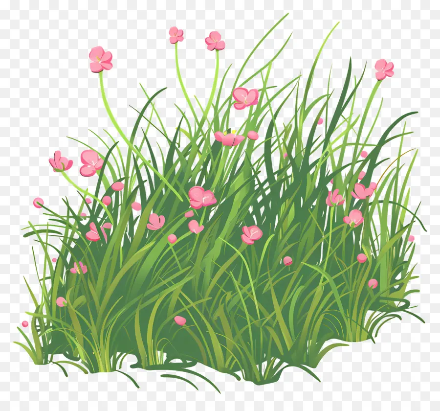 grass green field tall grass pink flowers clear sky