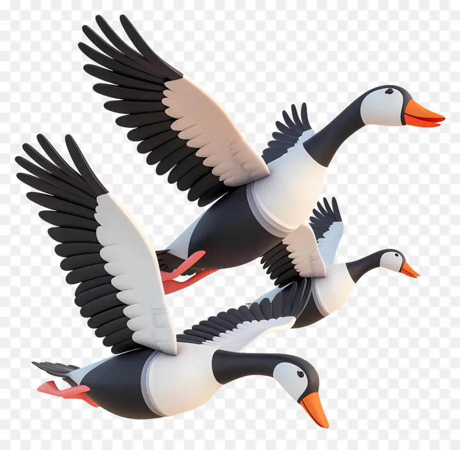 migrating geese ducks flying black and white orange beaks