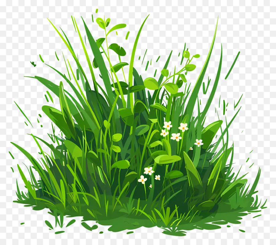 Grasgrün Gras Rasen kleine Pflanzen weiße Blüten - Grüner Rasen mit kleinen Pflanzen und Blumen