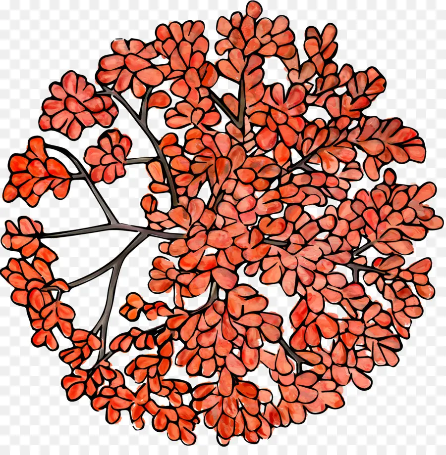 Baumspitze - Orangenblatt mit roten Adern auf Weiß