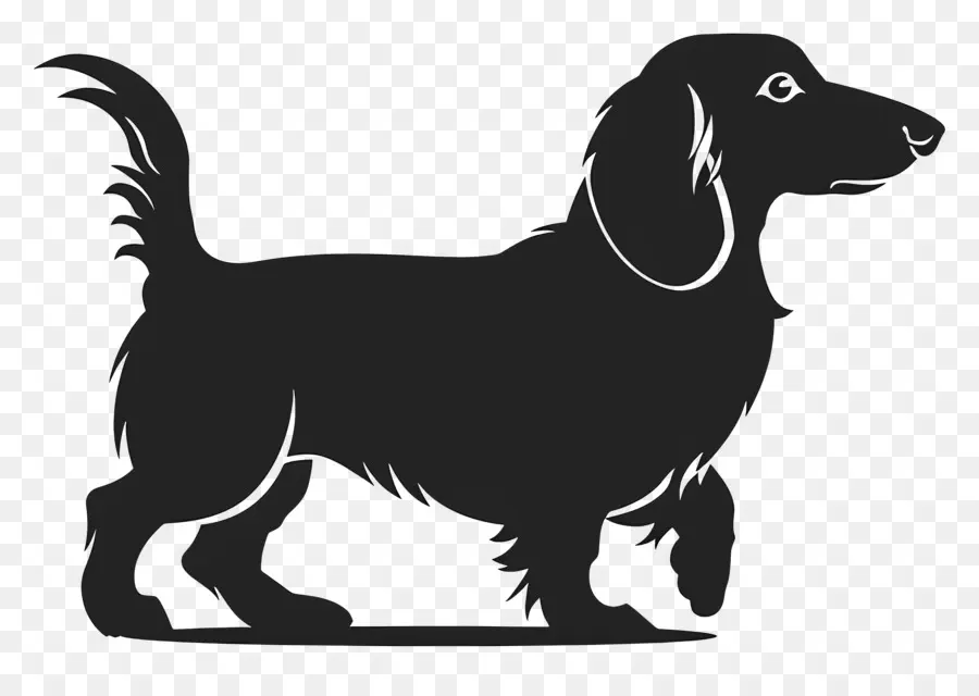 Hund silhouette - Glücklicher Hund mit langem Schwanz im Stehen