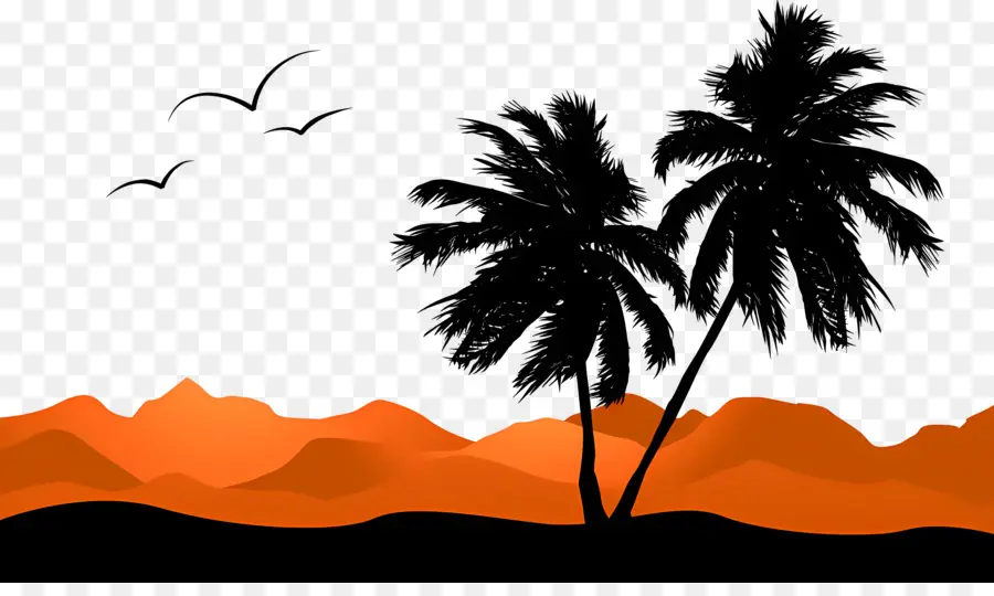 Palmen - Tropischer Sonnenuntergang mit Palmen und Bergen