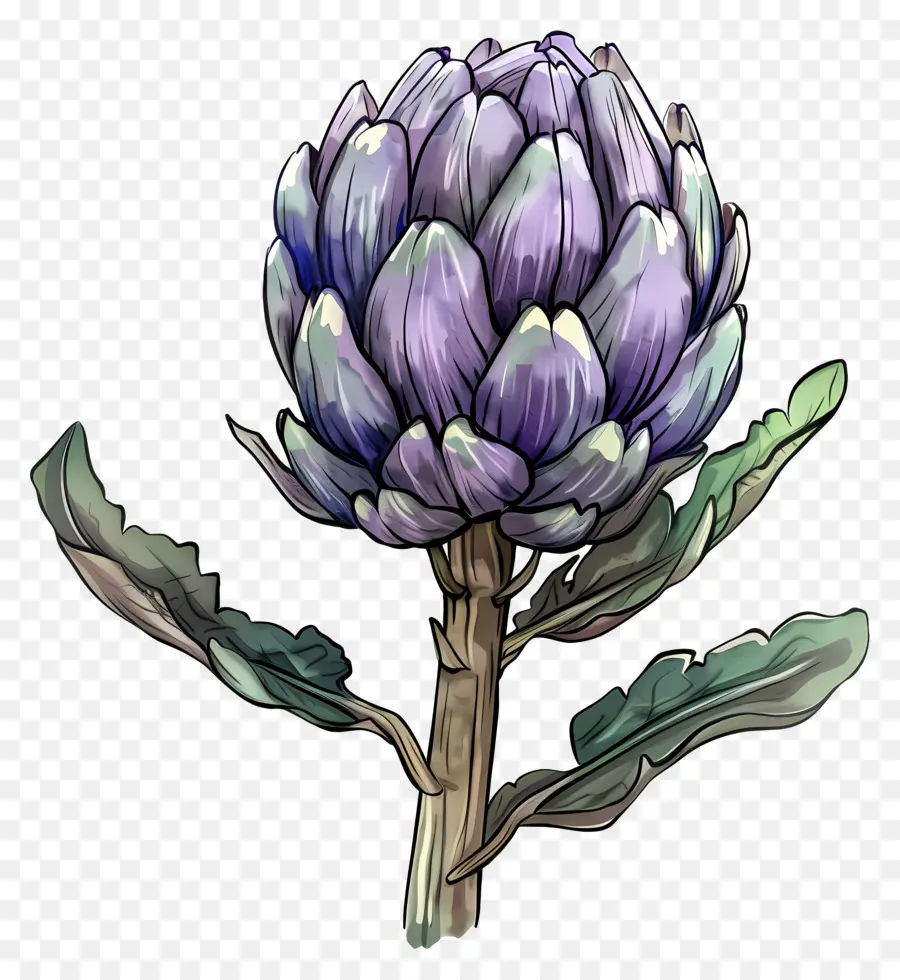 Artischocken -Aquarellmalerei Purpur Artischockengelbe Blütenblätter Pflanzenstamm - Lebendige Aquarellmalerei der Artischockenpflanze