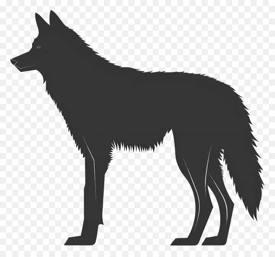 Wolf Silhouette Wolf Wildlife Predator Nature - Disegno bianco e nero di feroce lupo