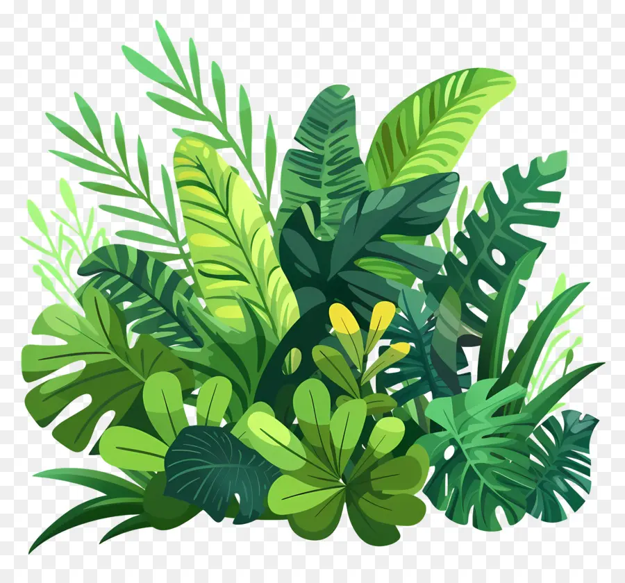 Lush Greenery Vườn nhiệt đới Cây xanh lá cây lá - Vườn nhiệt đới sôi động với cây xanh