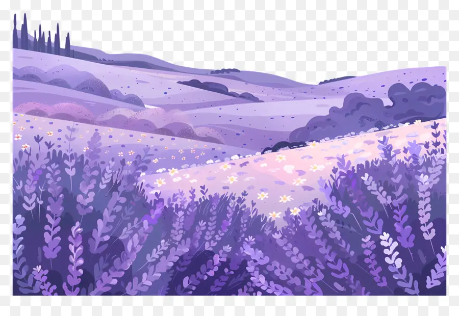 Lavendel - Lavendelfeld unter Mondlicht, Hügel mit Bäumen