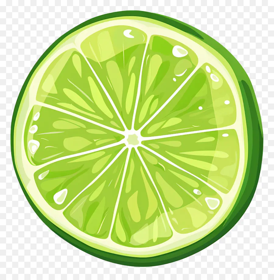 Lime Lime Fruchtfrüchte Zitrusgrün - Frische Limettenscheibe mit Wassertropfen