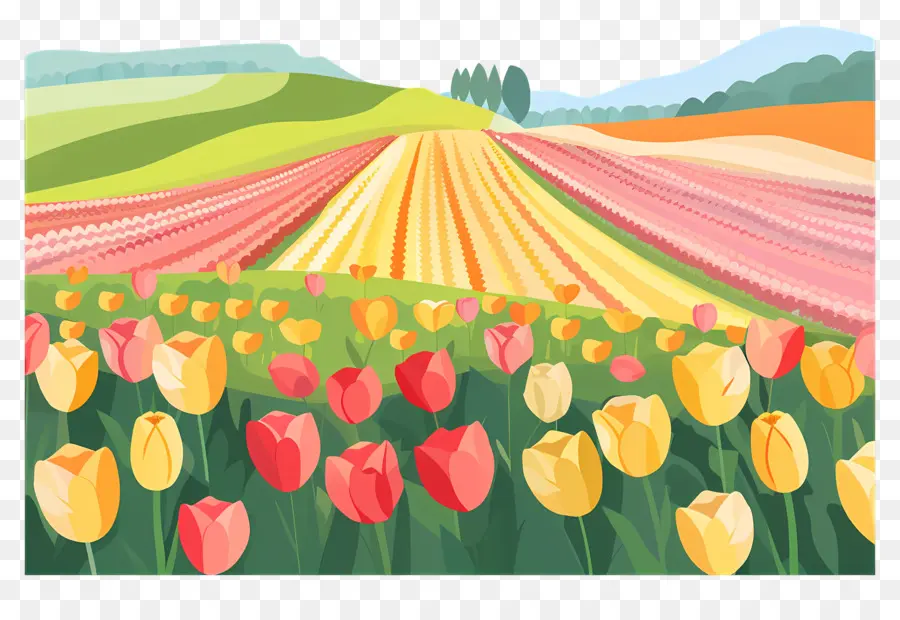 Tulip Field Tulips Field Flowers Garden - Cánh đồng hoa tulip đầy màu sắc với cặp đôi đi bộ