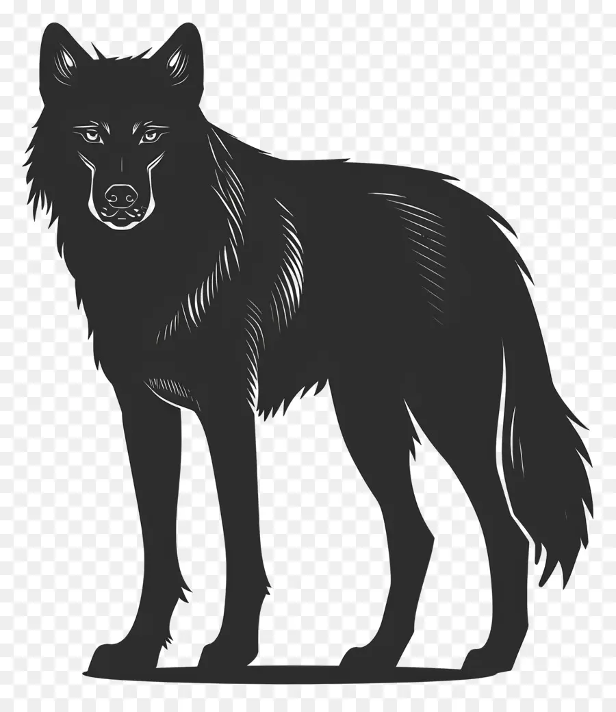 Wolf Silhouette Wolf stehende Hinterbeine nach oben schauen - Wolf stehst auf Hinterbeinen, Mund offen