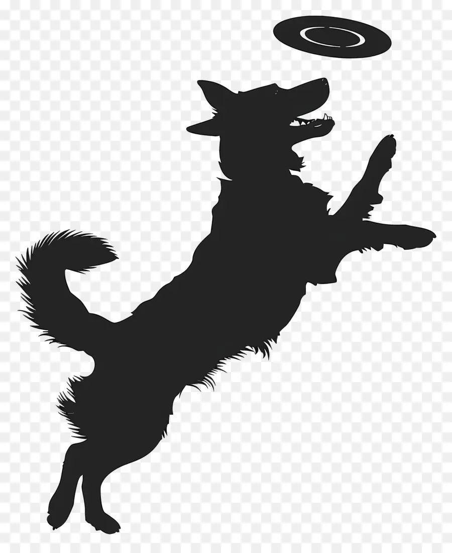bóng con chó - Chó nhảy để bắt nghệ thuật Silhouette Frisbee