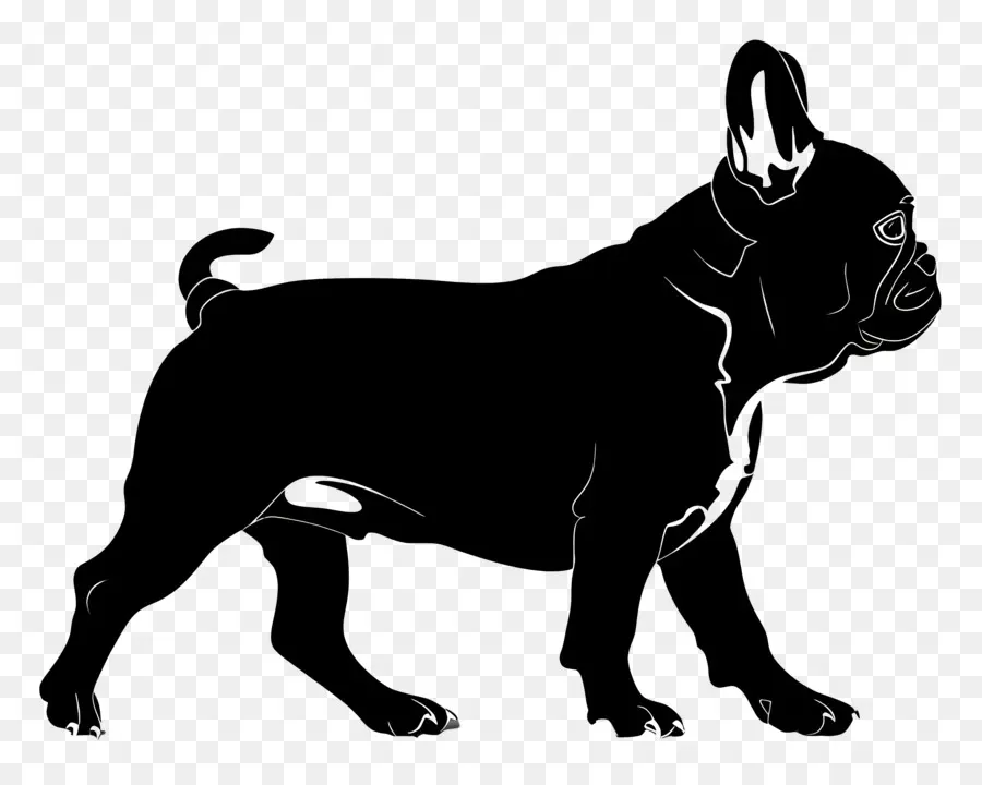 cane silhouette - Adorabile bulldog francese che disegna sulle zampe posteriori