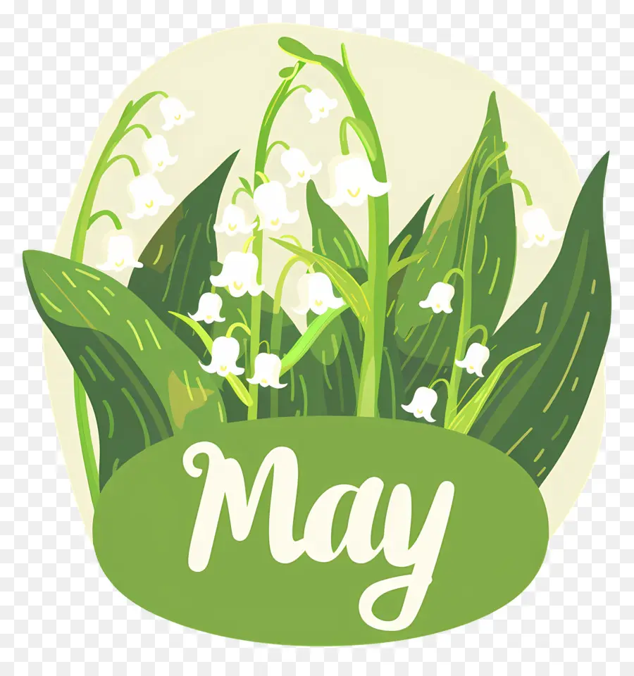 hello may lily of the valley flowers bloom white petals
