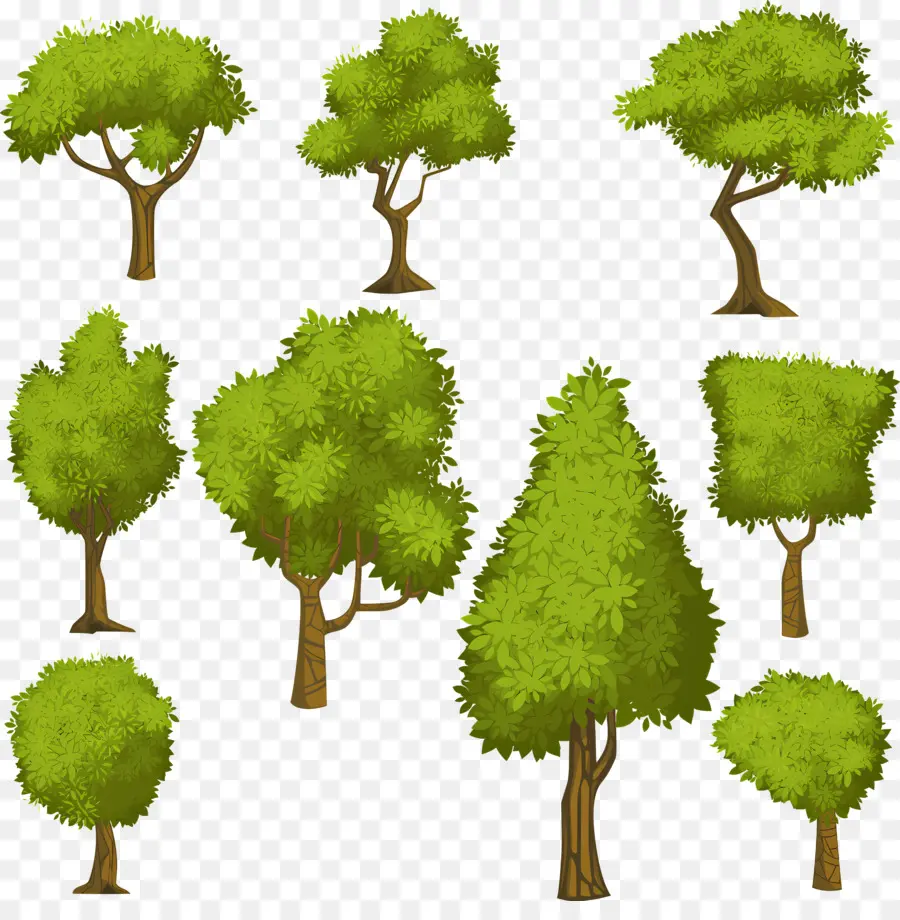Bäume Arten von Bäumen von Sträuchbuscheln - Verschiedene Bäume mit einzigartigen Eigenschaften auf schwarzem Hintergrund