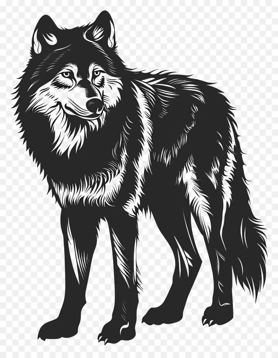 Silhouette Silhouette Phác thảo màu đen và trắng vẽ hình minh họa động vật hoang dã nghệ thuật động vật - Bản phác thảo đen trắng của sói cảnh giác đứng