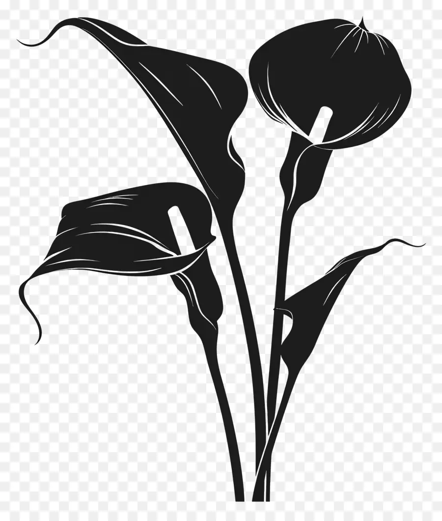 Fiori Silhouette Calla Lily Black Sfondo Silhouette Art floreale - Black Calla Lily Silhouette con centro rosa