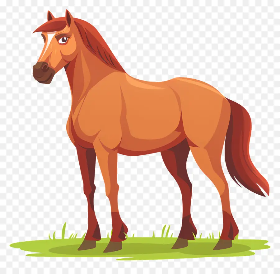 braunes Pferd braunes Pferdgrün Field lockige Mähne des Muskels Körper - Braunes Pferd mit lockiger Mähne im Feld