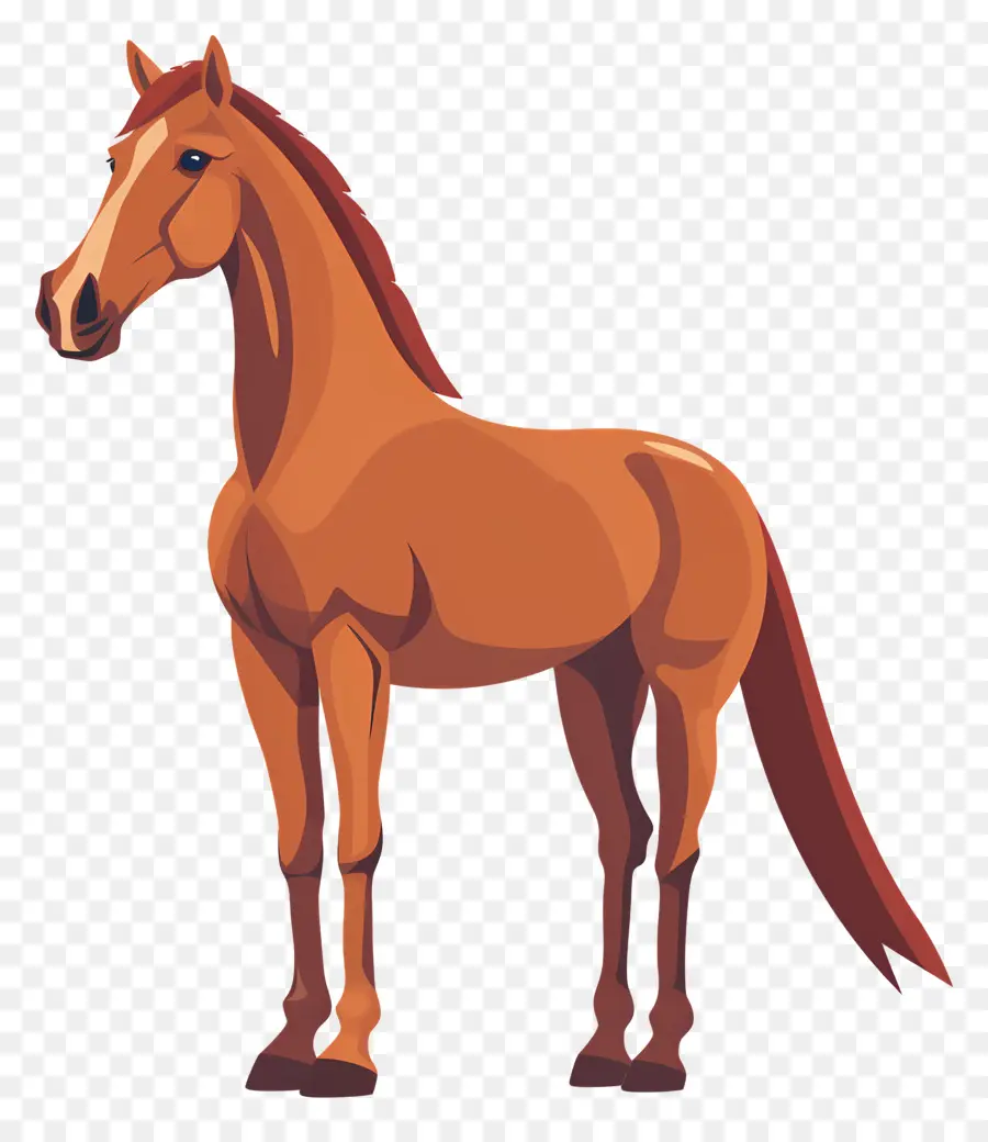 cavallo marrone cavallo marrone in piedi sulle zampe posteriori muscolose - Cavallo marrone in piedi con espressione calma