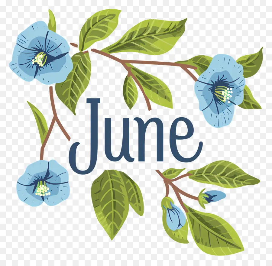 Hallo Juni Juni Blaue Blumen weiß - Dunkelblauer Hintergrund mit Juni Text und Blumen