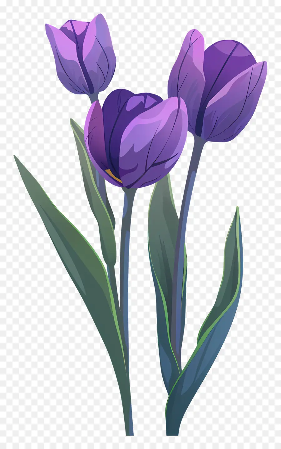 Fiori Da Giardino - Tre tulipani viola su sfondo scuro