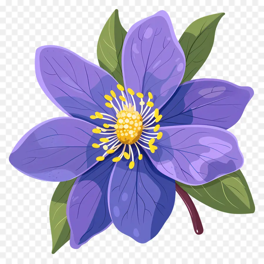 fiore blu - Fiore blu sullo sfondo nero con ombra