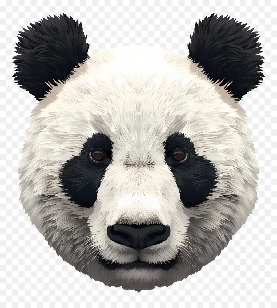 Icon Panda Bear Nahaufnahme Schwarz-Weiß-Pelzbambus - Nahaufnahme des traurigen Panda-Bärenkopfes