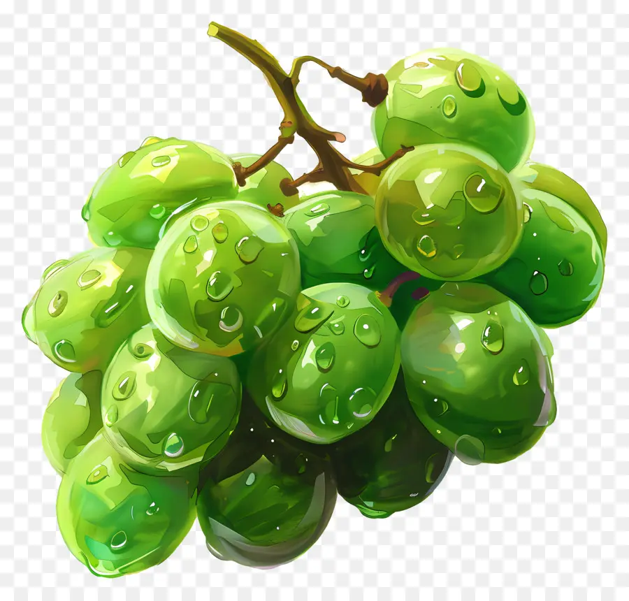 grüne Trauben grüne Trauben frisch gepflückter Wassertröpfchen Cluster - Frisch gepflückte grüne Trauben mit Wassertropfen