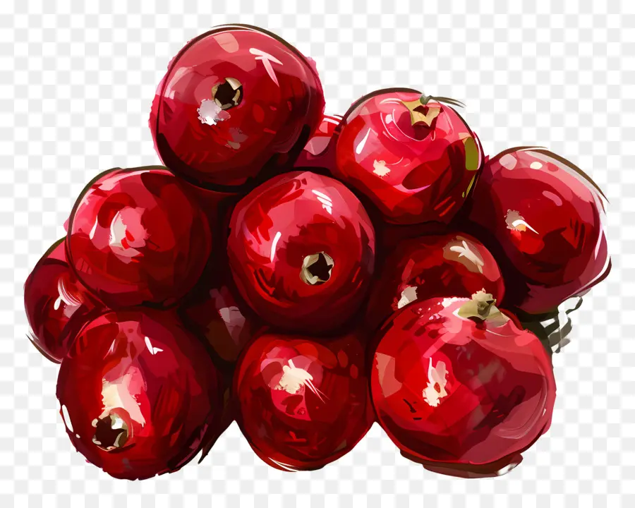 Preiselbeeren rote Äpfel frisches Obst saftig glänzender Textur - Frische, glänzende rote Äpfel bereit zu essen
