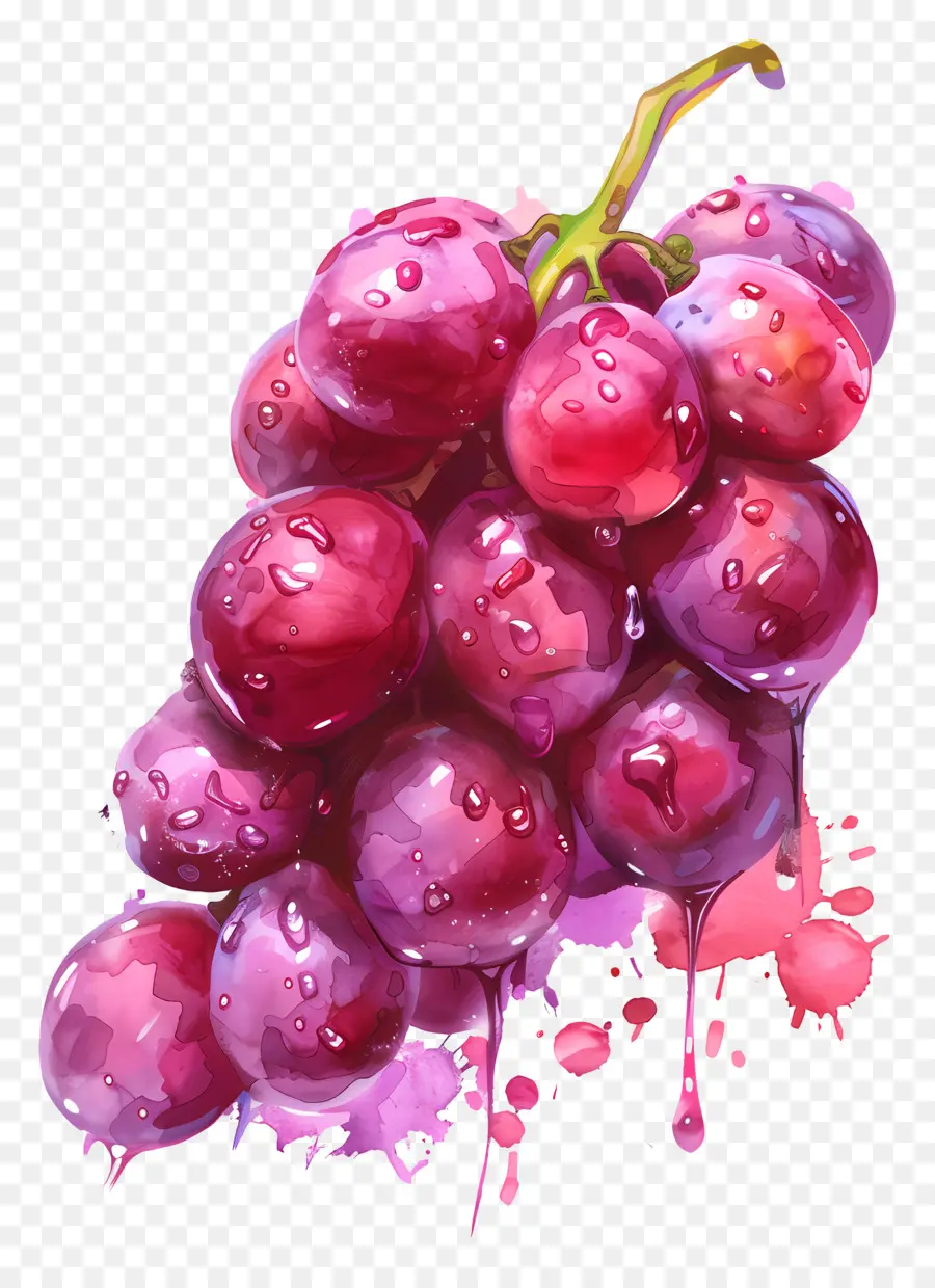 Rote Trauben Trauben malen Tinte frisch - Lebendige Trauben, die mit Farbe oder Tinte bedeckt sind