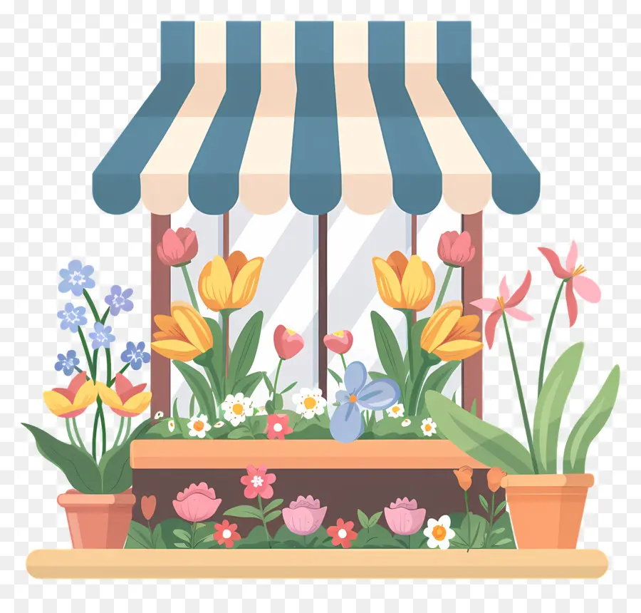 la disposizione dei fiori - Finestra colorata del negozio di fiori con varietà
