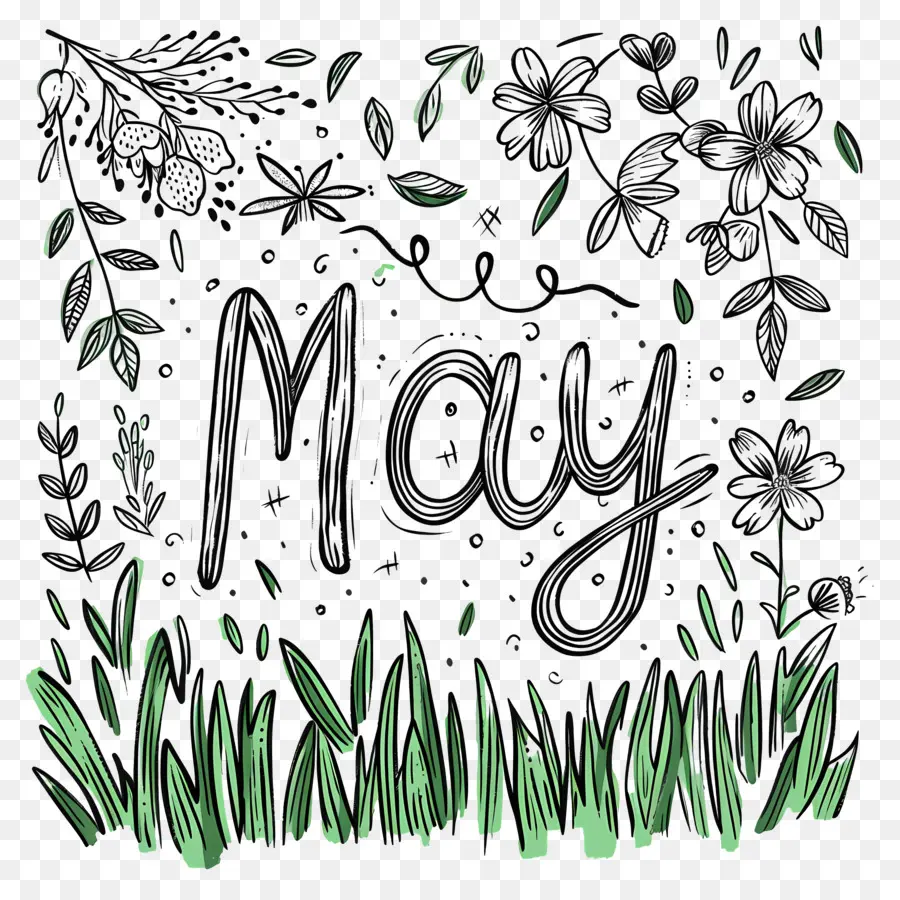 xin chào, có thể tăng trưởng mùa xuân khởi đầu mới - Tháng 5: Tăng trưởng và sự bình tĩnh mới trong tự nhiên