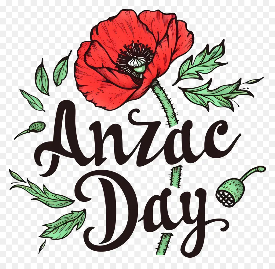 L'Anzac Day - Poppy rosso realistico con testo 