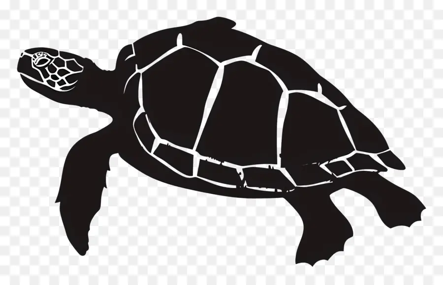 Silhouette Silhouette Turtle Swimming Shell Bassed Flippers - Tartaruga in bianco e nero che nuota sul retro
