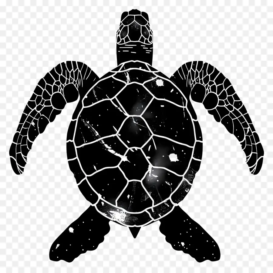 tartaruga silhouette tartaruga silhouette scuro misterioso - Scena inquietante con tartaruga in primo piano