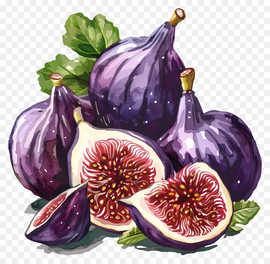 figs ripe purple fresh leaves