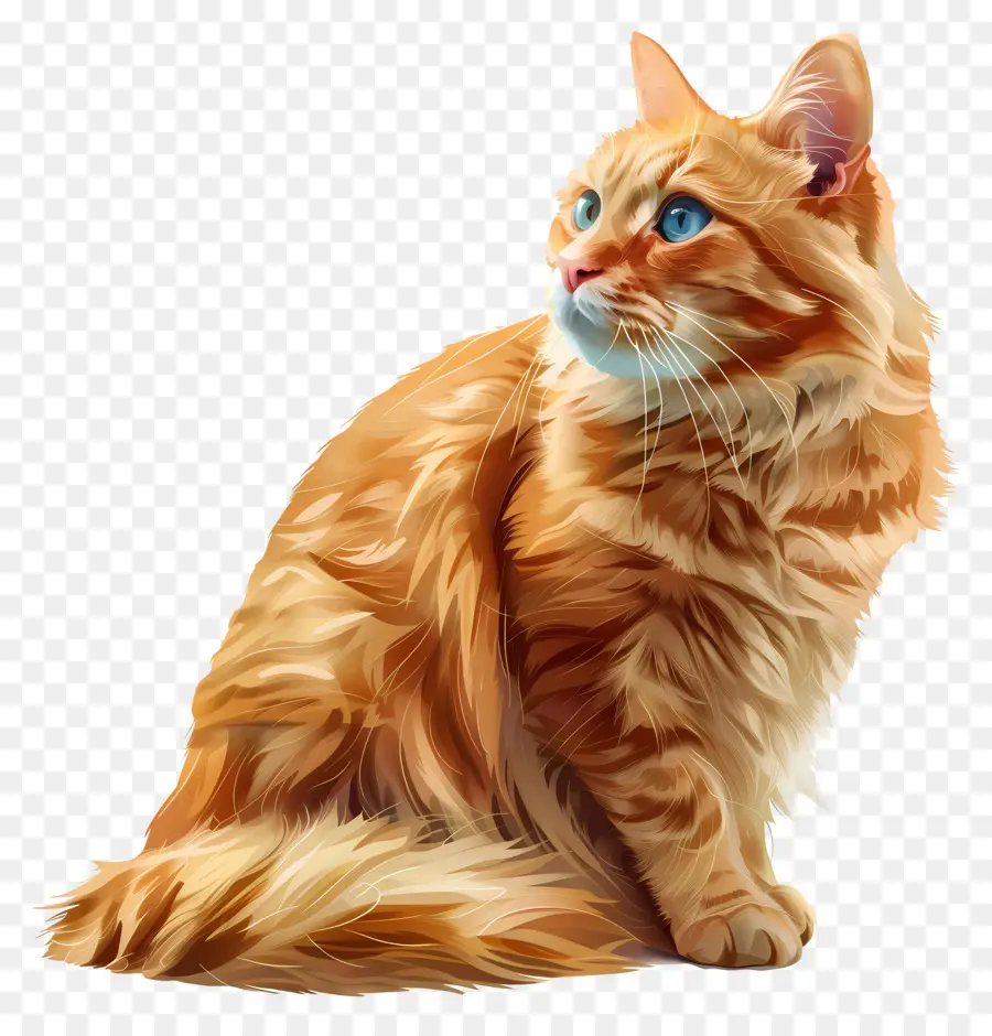 gatto arancione gatto bianco patch occhi blu capelli soffici - Gatto arancione con occhi blu, pelliccia soffice