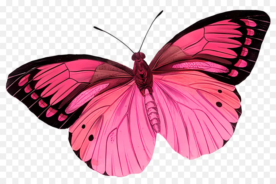 Mariposas Butterfly Pink Butterfly Black Spots Green Branch - Farfalla rosa con macchie nere sulla foglia