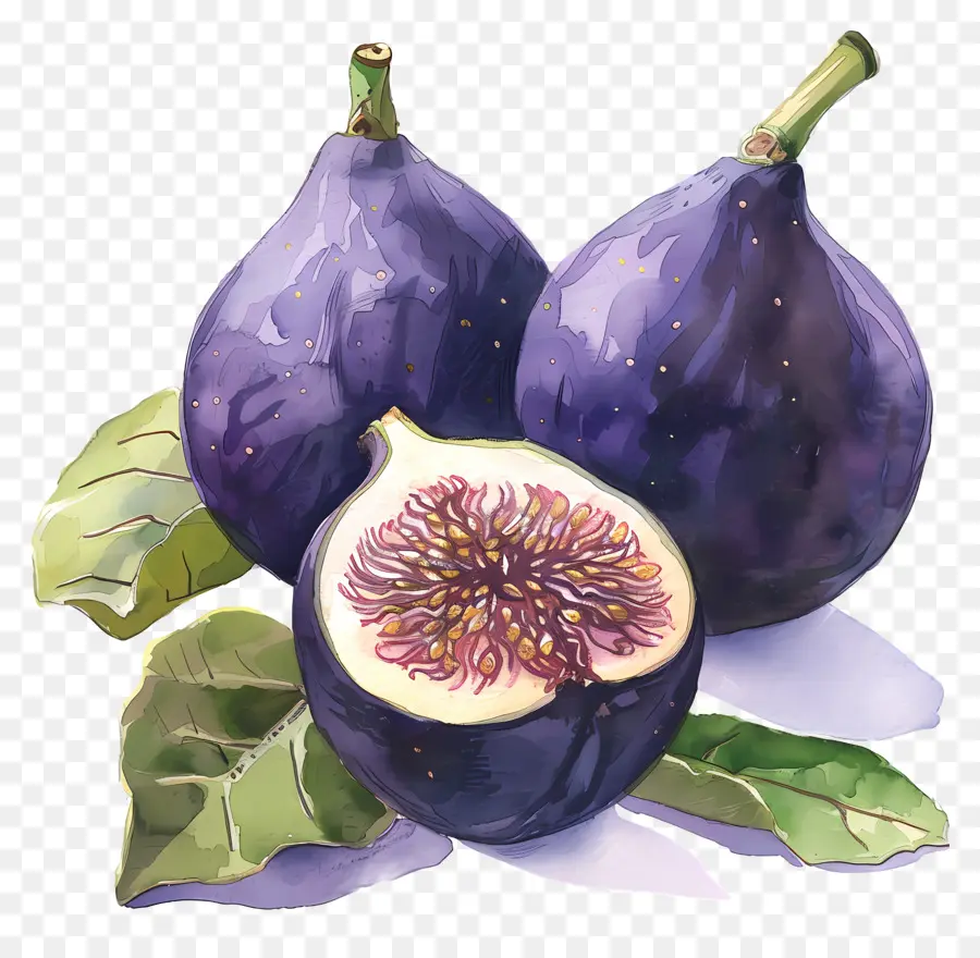 figs fruit purple leaves stem